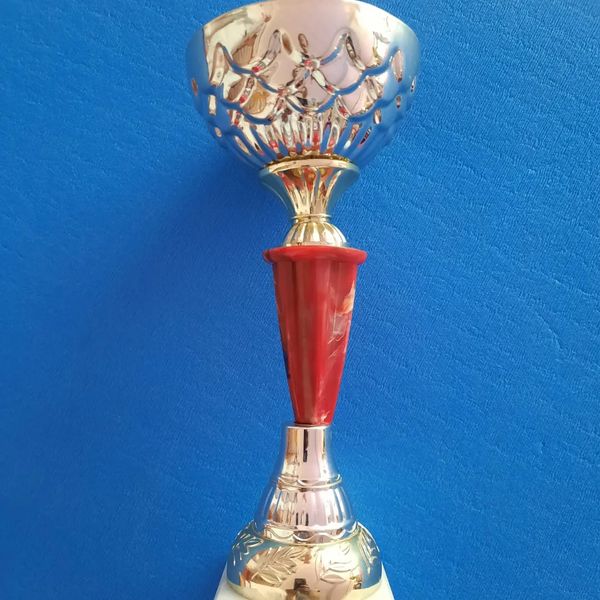 Scopri di più sull'articolo Trofeo primavera della società Budokan Montelupo.